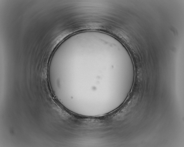 X0000111921081200908031159