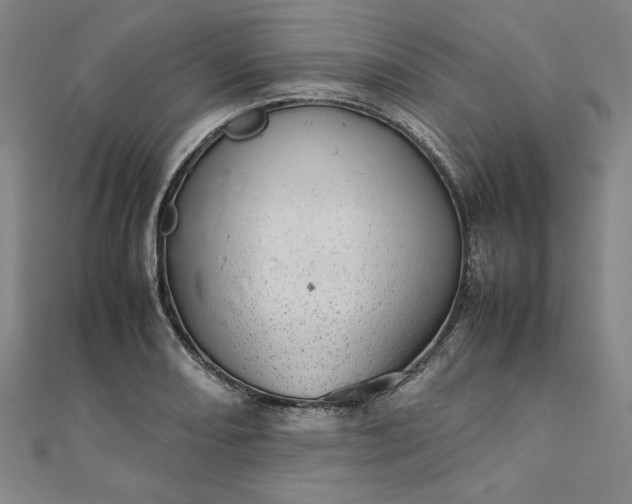X0000111921082200908031159