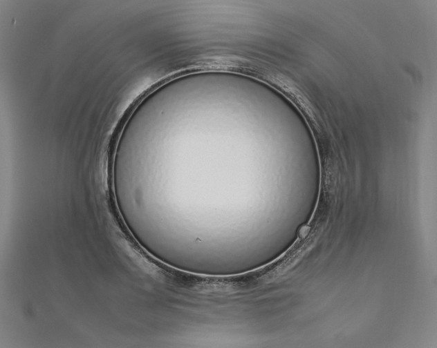 X0000111921083200908031159