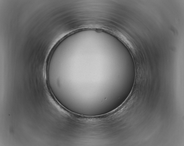 X0000111921084200908031159