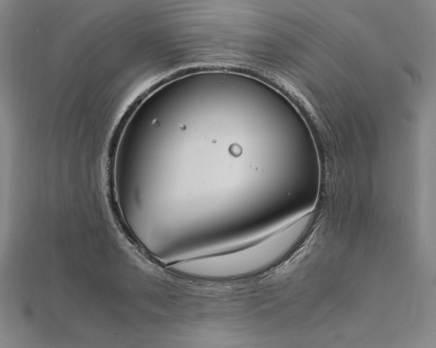 X0000111921085200908031159
