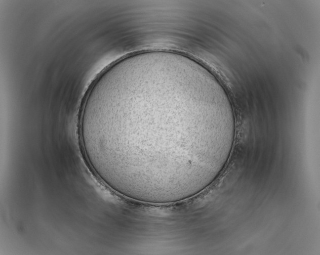 X0000111921086200908031159