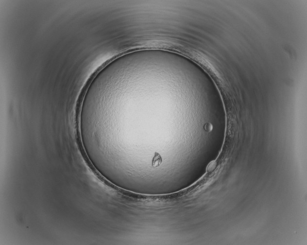 X0000111921087200908031159