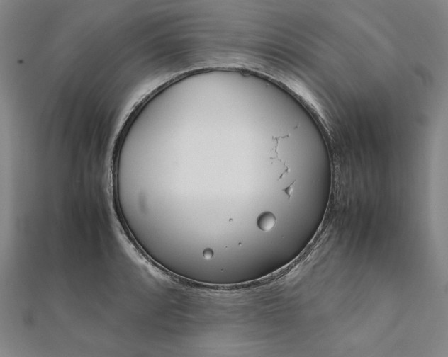 X0000111921088200908031159