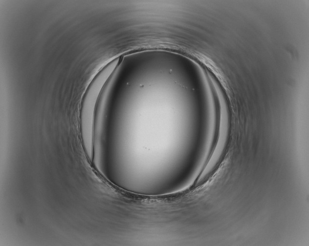 X0000111921089200908031159