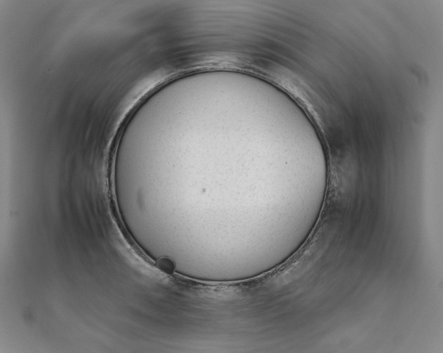 X0000111921090200908031159