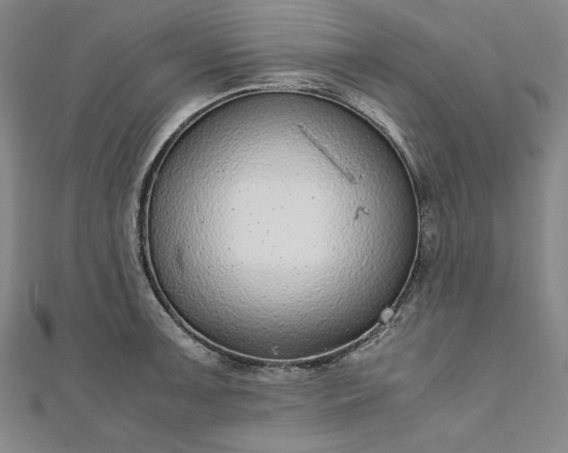 X0000111921091200908031159