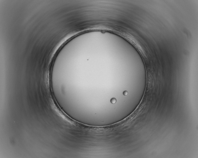 X0000111921092200908031159