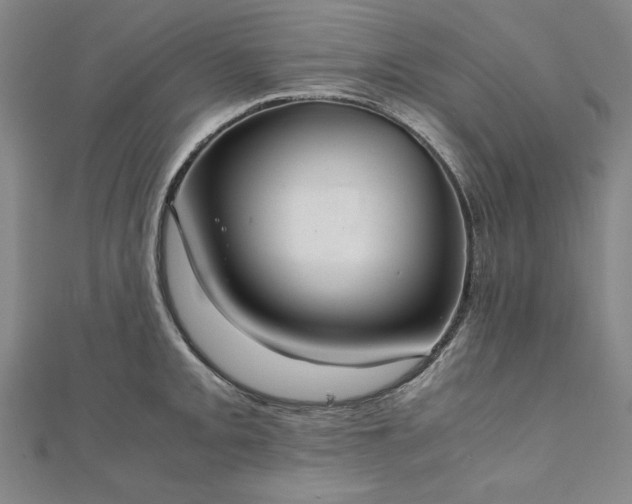 X0000111921093200908031159