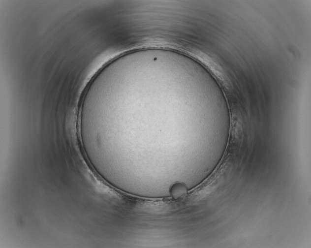 X0000111921094200908031159