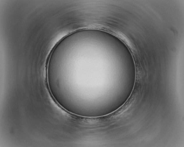 X0000111921095200908031159