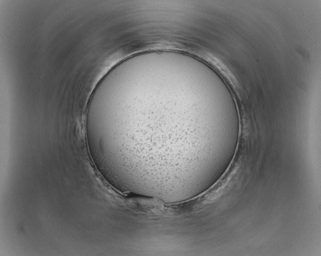 X0000111921097200908031159