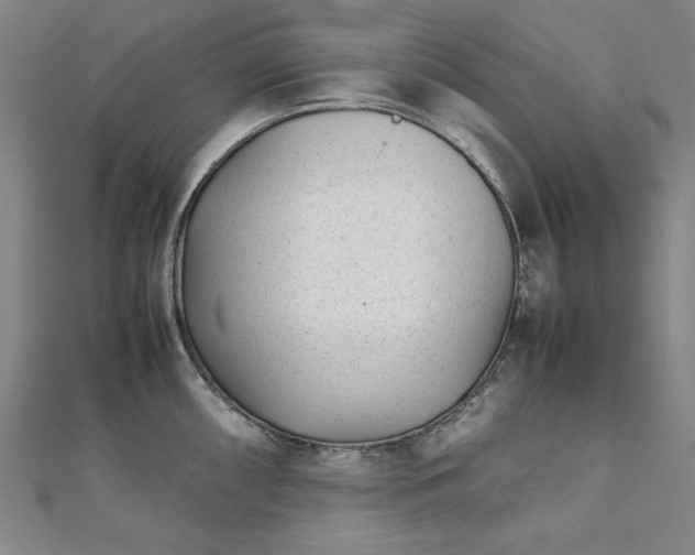 X0000111921098200908031159
