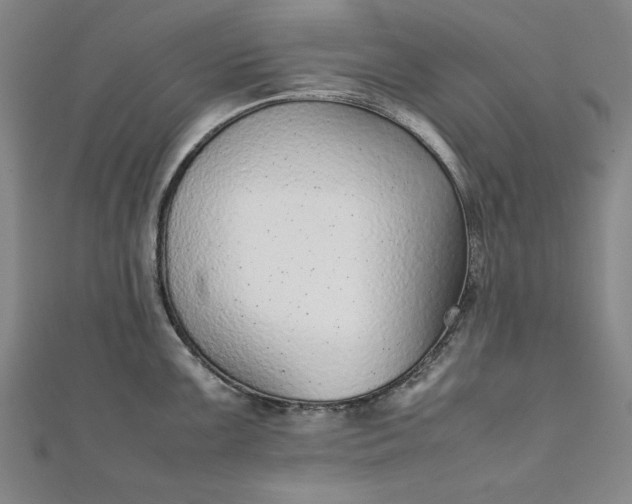 X0000111921099200908031159