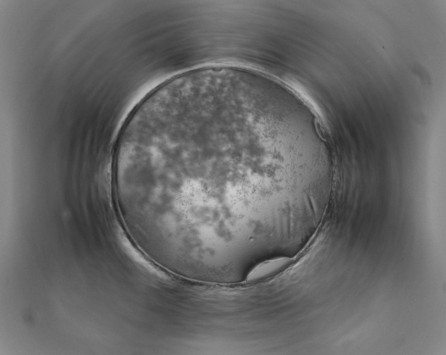 X0000111921100200908031159