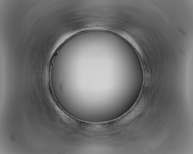 X0000111921101200908031159