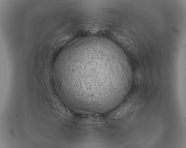 X0000111921105200908031158