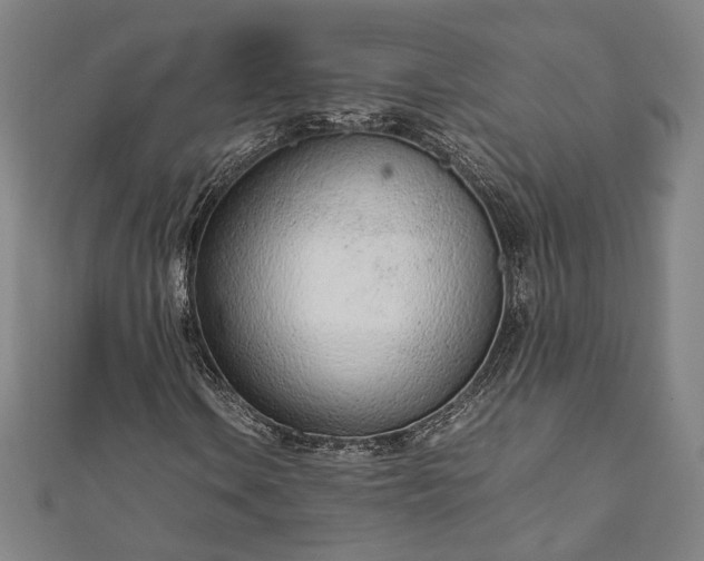 X0000111921106200908031158