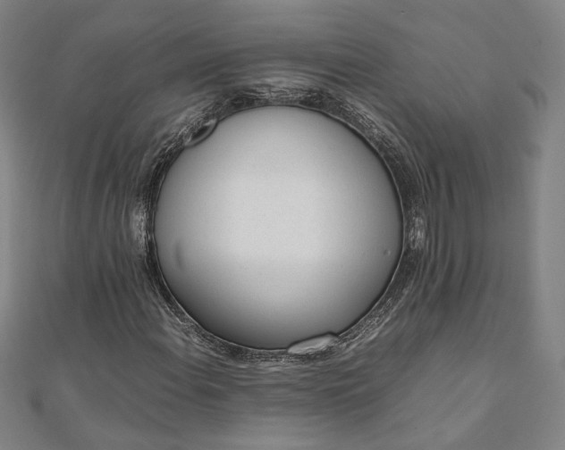 X0000111921108200908031159