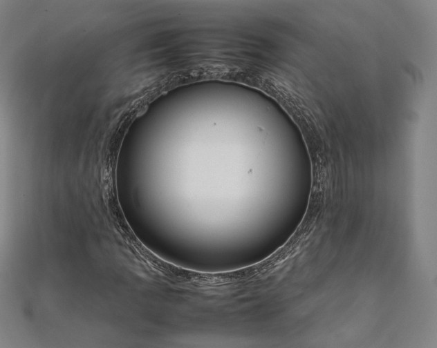 X0000111921109200908031159