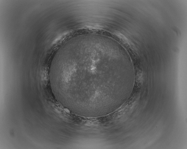X0000111921110200908031159