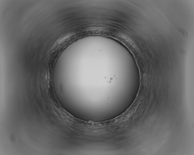 X0000111921111200908031159