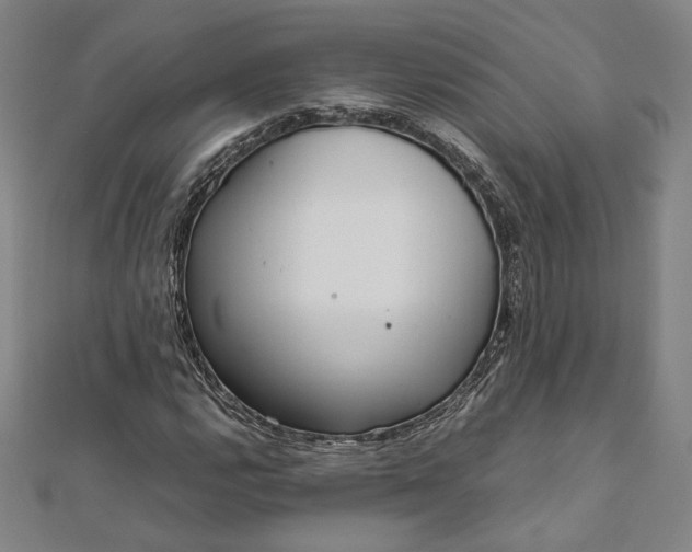 X0000111921112200908031159