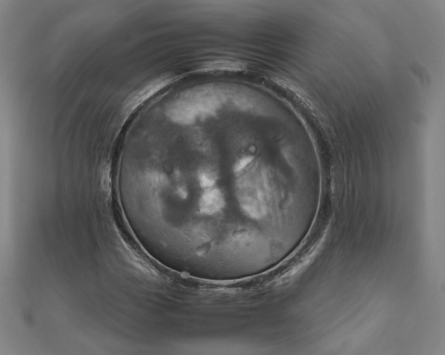 X0000111921113200908031159