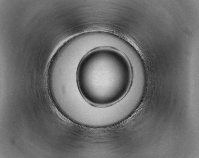 X0000111921116200908031159