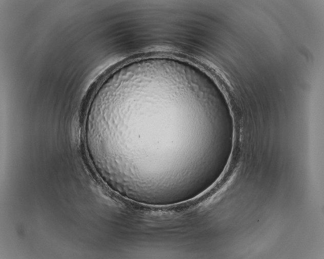 X0000111921117200908031159
