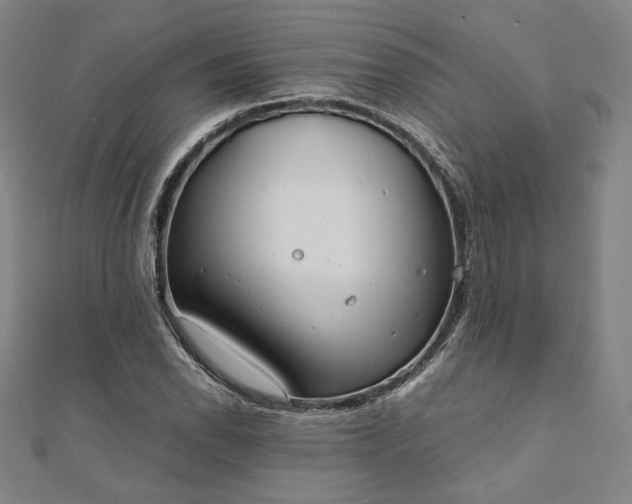 X0000111921118200908031159