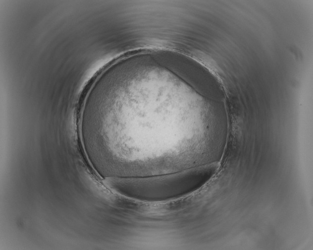 X0000111921120200908031159