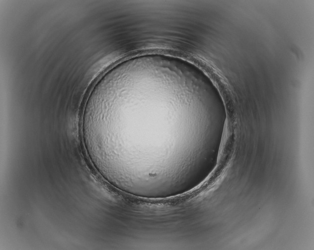 X0000111921121200908031159