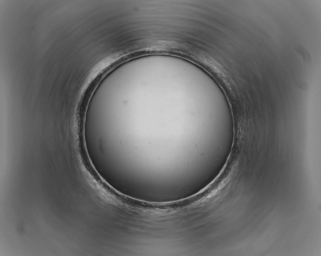 X0000111921122200908031159