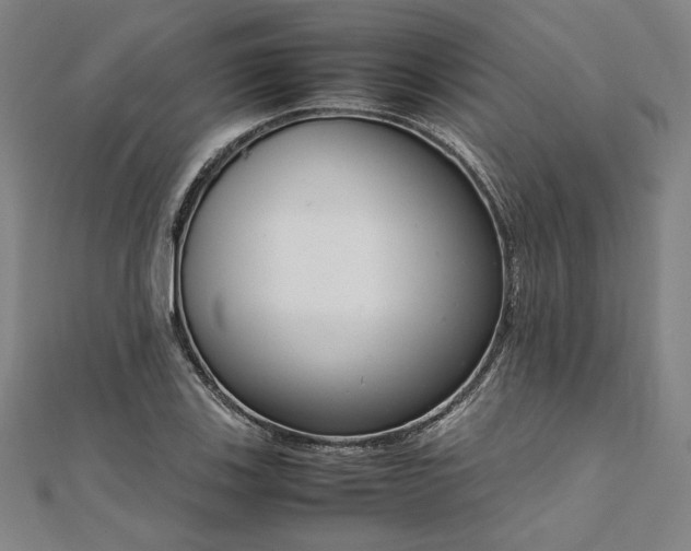 X0000111921123200908031159