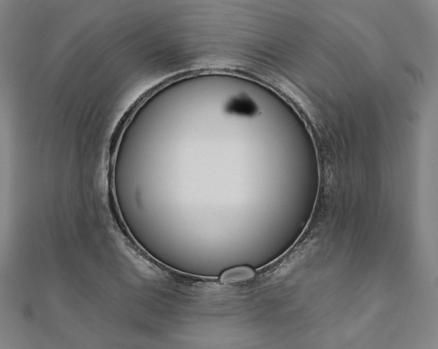 X0000111921124200908031159