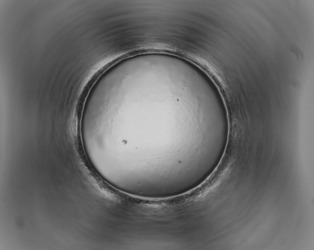 X0000111921125200908031159