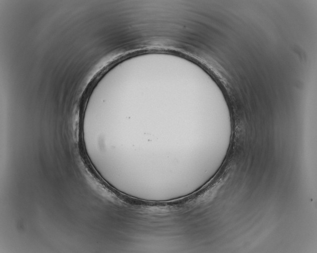X0000111921126200908031159
