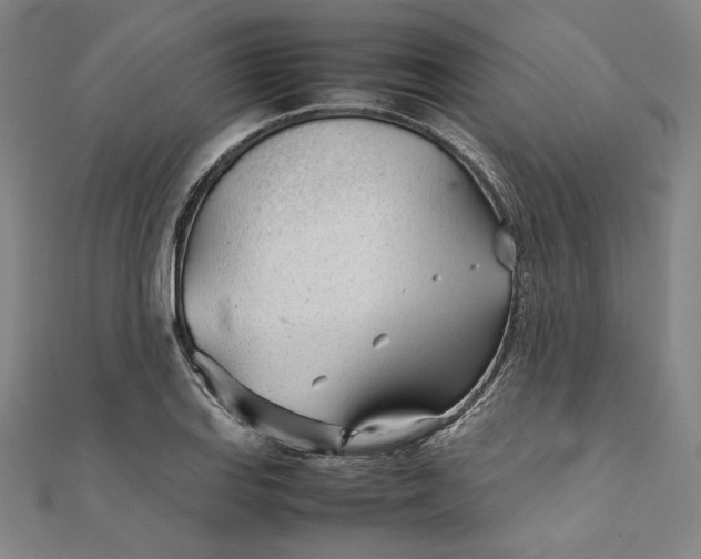 X0000111921127200908031159