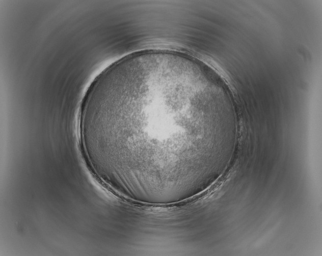 X0000111921128200908031159