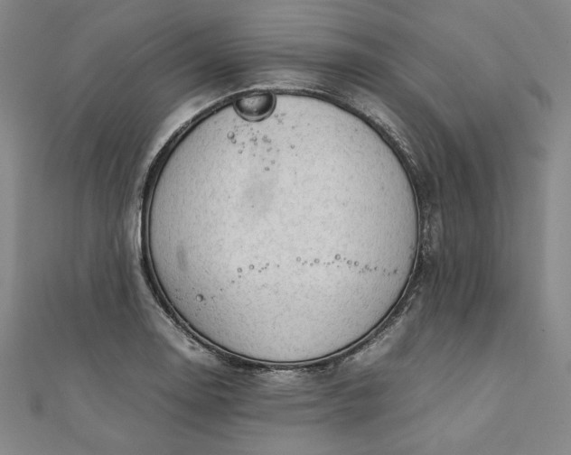 X0000111921130200908031159