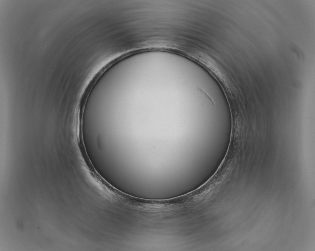 X0000111921132200908031159