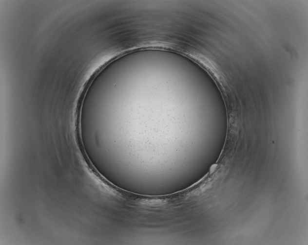 X0000111921135200908031159
