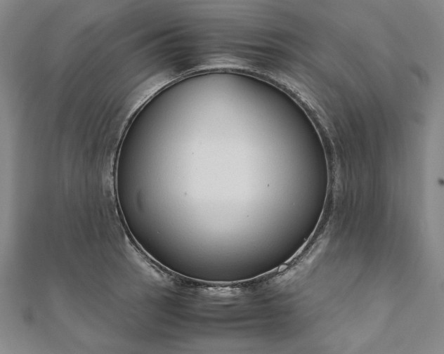 X0000111921137200908031159
