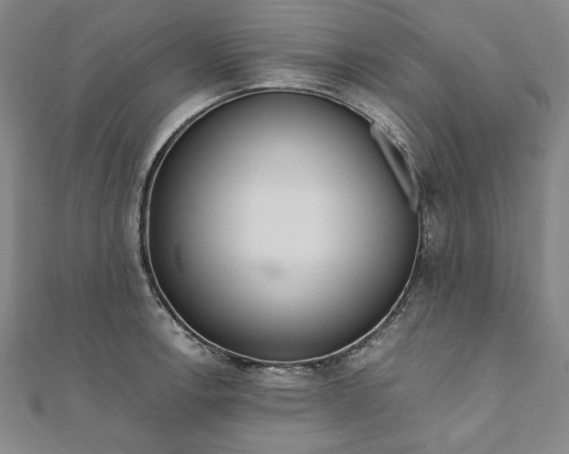 X0000111921138200908031159