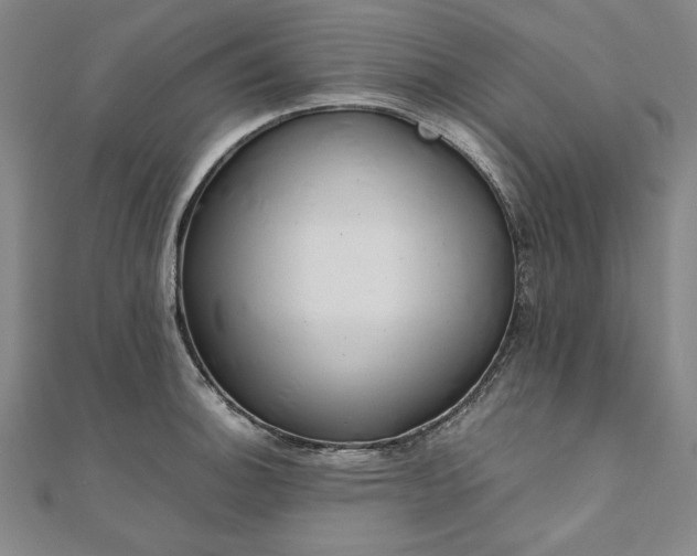 X0000111921140200908031159