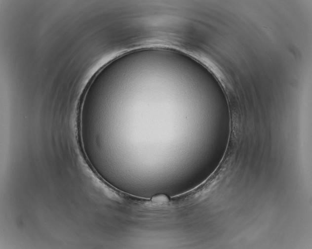 X0000111921142200908031159