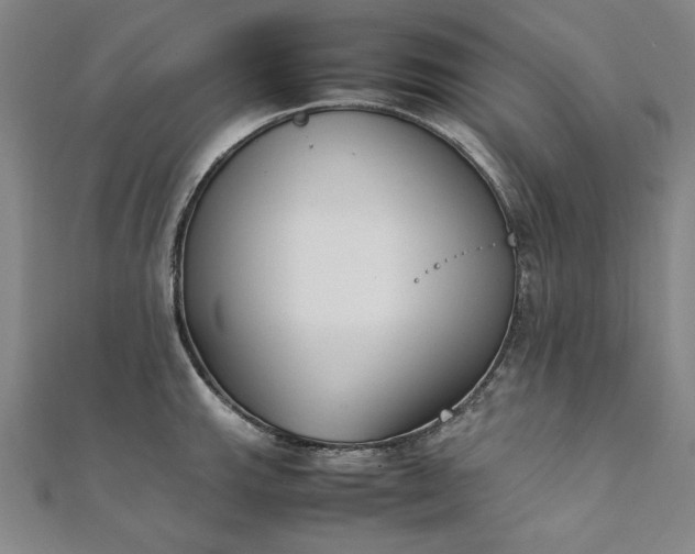 X0000111921143200908031159