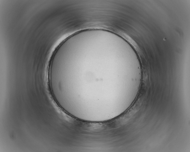 X0000111921144200908031159