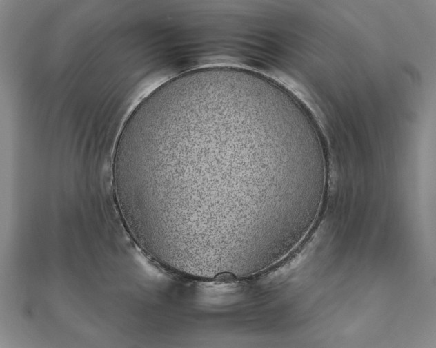 X0000111921145200908031159